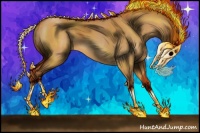 Horse Color:Bay Roan Dun 