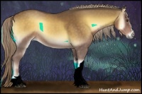 Horse Color:Chocolate Palomino Onyx 