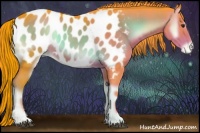 Horse Color:Watercolor Liver Red Onyx Appaloosa