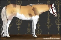 Horse Color:Red Onyx Splash and Palomino Onyx Splash