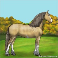 Horse Color:Plaid  White Spotted Liver Red Dun 