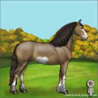 Horse Color:White Spotted Liver Red Dun Frame Rabicano 