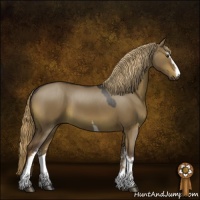 Horse Color:White Spotted Liver Red Dun 