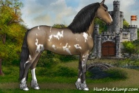 Horse Color:White Spotted Brown Dun Sabino Rabicano