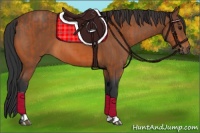 Horse Color:Bay and Bay