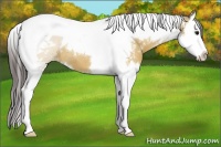 Horse Color:Brown Dun Splash Tobiano Varnish 