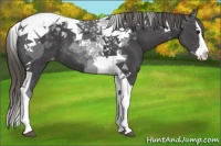 Horse Color:Smoky Black Splash Tobiano Varnish