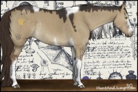 Horse Color:White Spotted Liver Red Dun Tobiano Rabicano