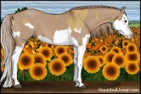 Horse Color:Red Dun Splash  and Red Dun Splash 