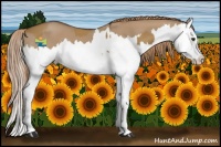 Horse Color:Red Dun Splash  and Red Dun Splash 