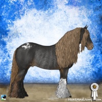 Horse Color:Liver Chestnut Varnish Rabicano 