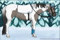 Horse Color:Grullo Tobiano