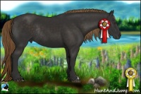 Horse Color:Liver Chestnut Rabicano 