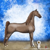 Horse Color:Liver Red Dun 