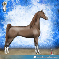 Horse Color:Liver Red Dun 