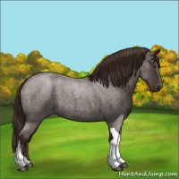 Horse Color:Liver Red Roan Tobiano