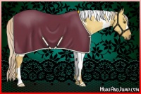 Horse Color:White Spotted Palomino Dun 