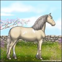 Horse Color:White Spotted Cremello Dun