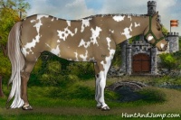 Horse Color:White Spotted Liver Red Dun