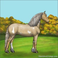 Horse Color:White Spotted Chocolate Palomino Roan Dun 