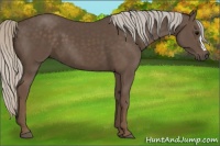Horse Color:Silver Black 