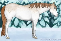 Horse Color:White Spotted Smoky Black Pearl