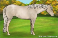 Horse Color:Chocolate Palomino Roan Pearl 