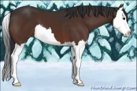 Horse Color:Brown Splash