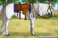 Horse Color:White Spotted Red Onyx Splash Appaloosa 