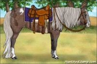 Horse Color:Silver Brown Ice Splash Appaloosa