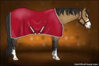 Horse Color:Bay Dun Sabino 