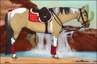 Horse Color:Bay Dun Tobiano 