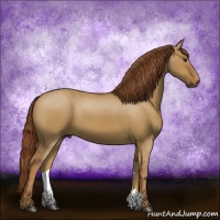 Horse Color:Red Dun 