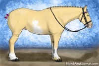 Horse Color:White Spotted Gold Cream Champagne Roan 