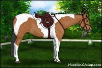 Horse Color:Bay Tobiano