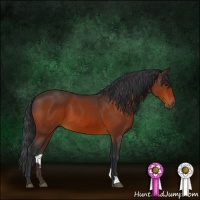 Horse Color:Brown 