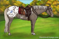 Horse Color:Silver Black Appaloosa 