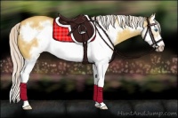 Horse Color:Silver Sable Champagne Dun Splash Frame 