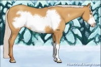 Horse Color:Silver Amber Champagne Frame 