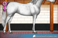 Horse Color:Gray Brown Sabino 