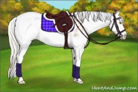 Horse Color:Silver Buckskin Sabino Splash 