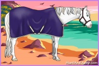 Horse Color:Gold Cream Champagne Dun Sabino Splash Rabicano 