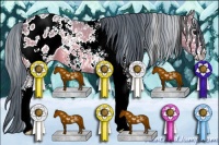 Horse Color:Watercolor White Spotted Bay Dun Appaloosa