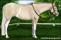 Horse Color:White Spotted Chocolate Silver Buckskin Pearl Sabino 