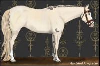 Horse Color:Chocolate Perlino Sabino 