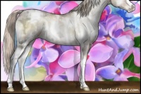 Horse Color:White Spotted Chocolate Palomino Ice Pearl Onyx