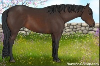 Horse Color:Brown 