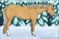 Horse Color:Palomino Roan 