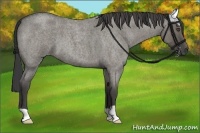 Horse Color:Smoky Grullo Roan 
