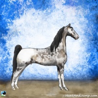 Horse Color:Blue Onyx Ice Appaloosa 